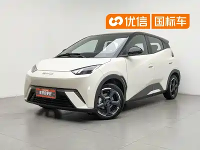 BYD Seagull 2024