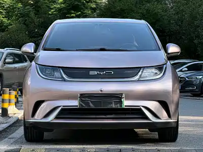 BYD Dolphin 2022