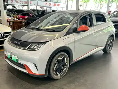 BYD Dolphin 2021