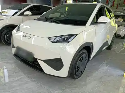 BYD Seagull 2025