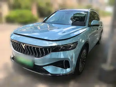 Voyah Auto FREE 2022