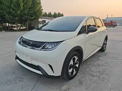 BYD Dolphin 2024
