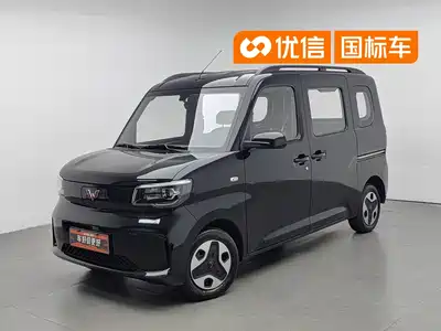Wuling Motors Zhiguang NEV 2026