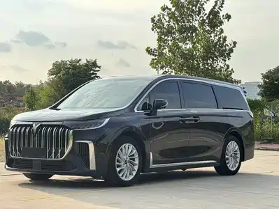 Voyah Auto Dreamer 2023