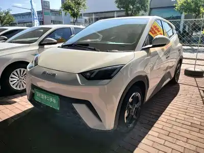 BYD Seagull 2024