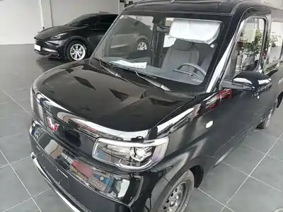 Wuling Motors Zhiguang NEV 2026