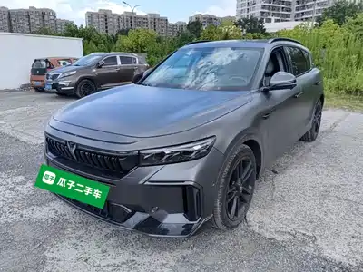 Voyah Auto FREE 2024