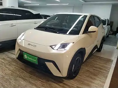 BYD Seagull 2024