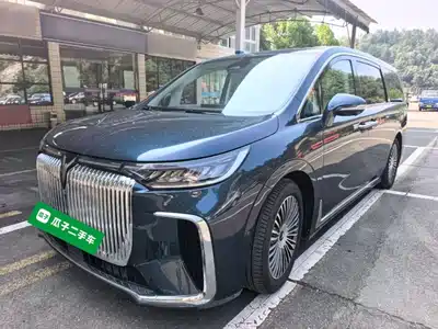 Voyah Auto Dreamer 2025