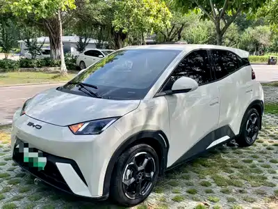 BYD Seagull 2024