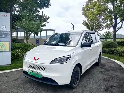 Wuling Motors Hongguang New Energy 2025
