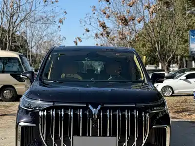 Voyah Auto Dreamer 2022