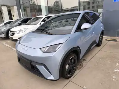 BYD Seagull 2024