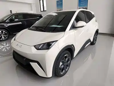 BYD Seagull 2024