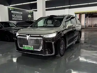 Voyah Auto Dreamer 2024