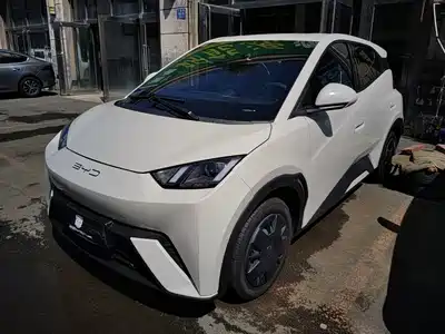 BYD Seagull 2024