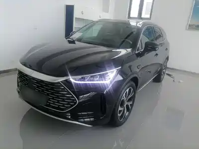 BYD Tang New Energy 2025