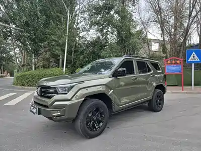 Tank 400 New Energy 2024