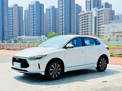 BYD e2 2021