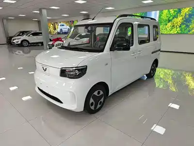 Wuling Motors Zhiguang NEV 2026