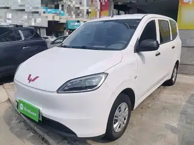 Wuling Motors Hongguang New Energy 2024