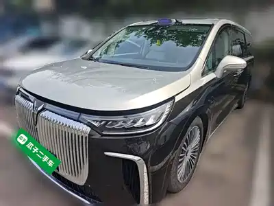 Voyah Auto Dreamer 2024