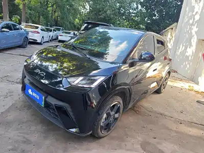 BYD Seagull 2024