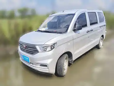 Wuling Motors Hongguang V 2024