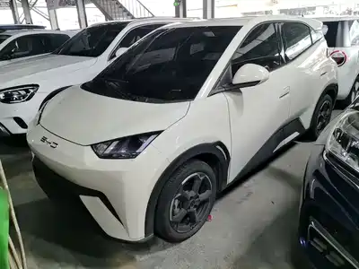 BYD Seagull 2024