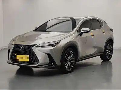 Lexus NX 2022
