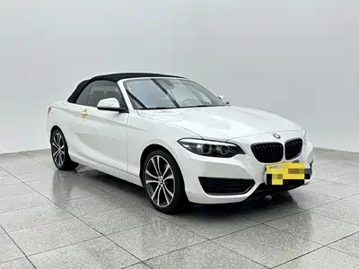 BMW 2 Series (Import) 2019