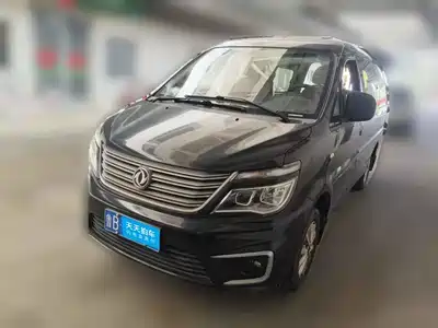 Dongfeng Fengxing Lingzhi 2019