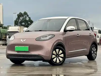 Wuling Motors Bingo 2024