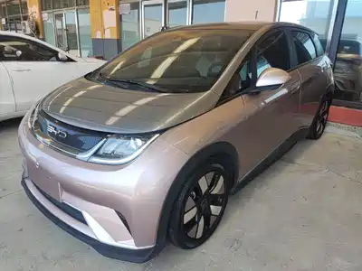 BYD Dolphin 2022