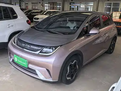BYD Dolphin 2022