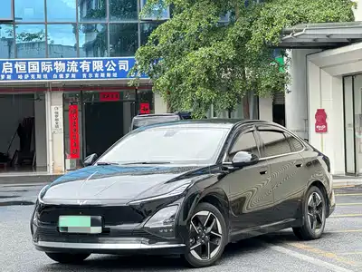 Wuling Motors Xingguang 2024