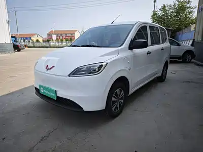 Wuling Motors Hongguang New Energy 2025
