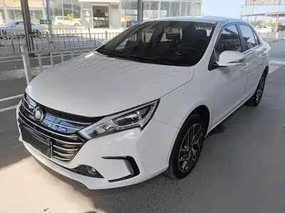 BYD Qin New Energy 2019