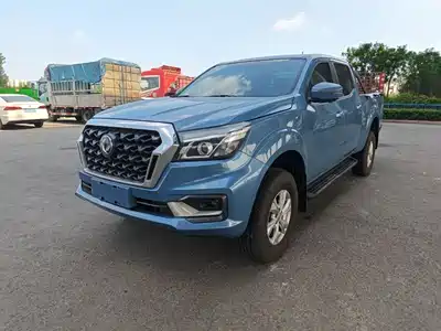 Dongfeng Rich 6 Pro 2025
