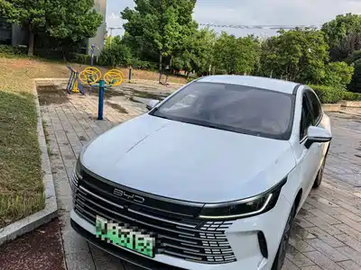 BYD Destroyer 05 2024