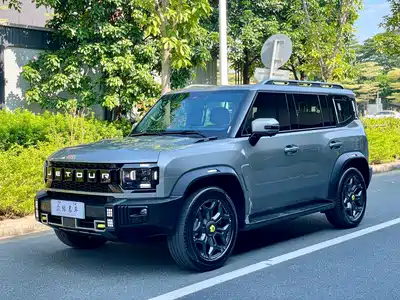 Jetour Shanhai T2 2024