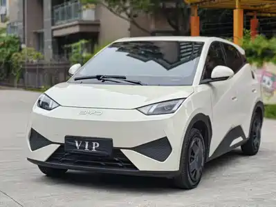 BYD Seagull 2025