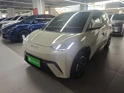 BYD Seagull 2024