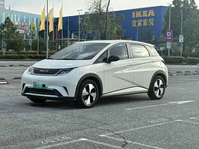 BYD Dolphin 2024