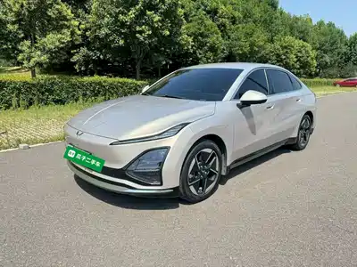 Wuling Motors Xingguang 2024