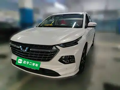 Wuling Motors Victory 2021