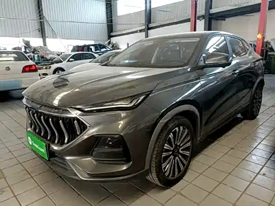 Changan Oshan Oushang X5 2021