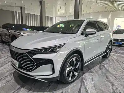 BYD Tang New Energy 2024