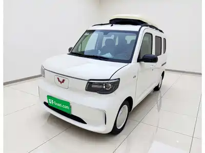 Wuling Motors Zhiguang NEV 2025