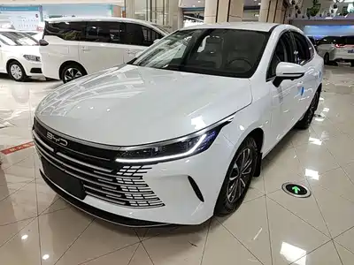 BYD Destroyer 05 2024